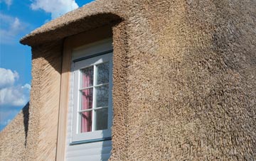 Walshes thatch roof disadvantages